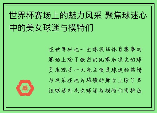 世界杯赛场上的魅力风采 聚焦球迷心中的美女球迷与模特们